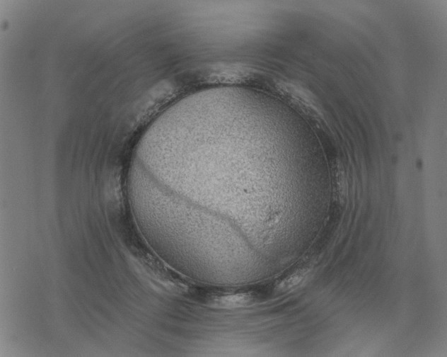 X0000076080312200610061622