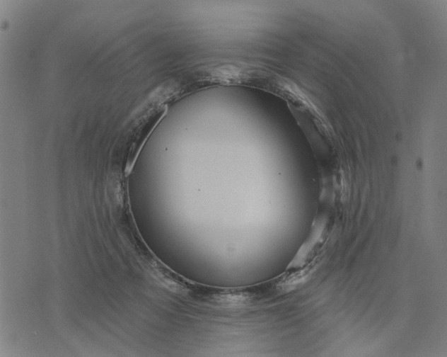 X0000076080313200610061622