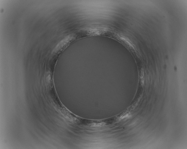 X0000076080314200610061622