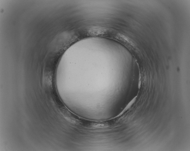 X0000076080315200610061622