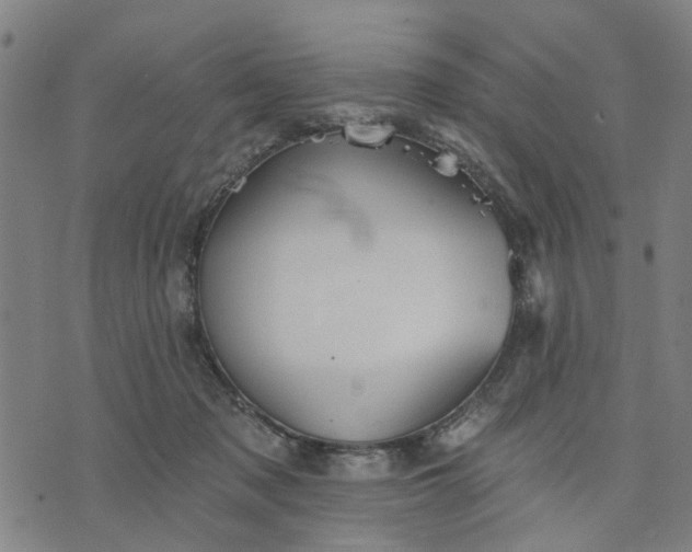 X0000076080317200610061622