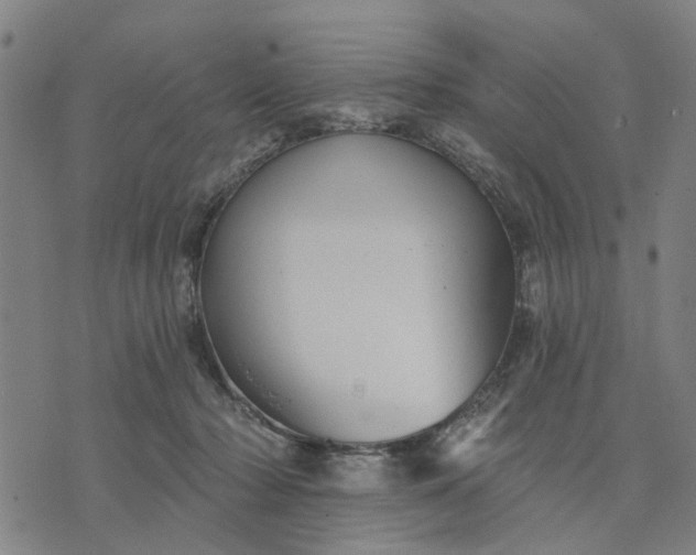 X0000076080318200610061622