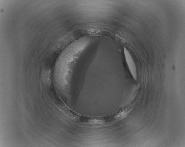 X0000076080319200610061622