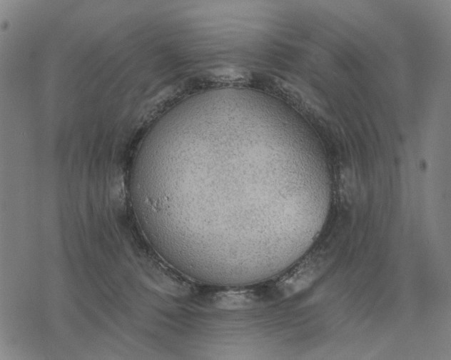 X0000076080320200610061622