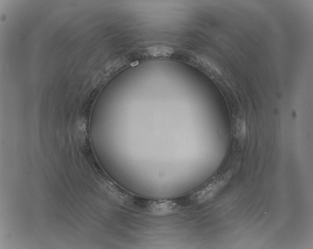 X0000076080321200610061622