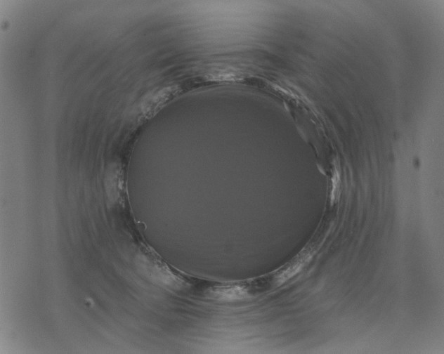 X0000076080322200610061622