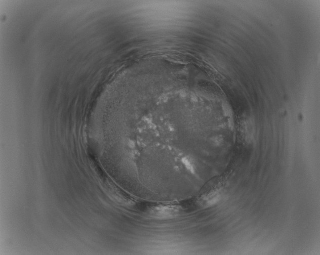 X0000076080323200610061622