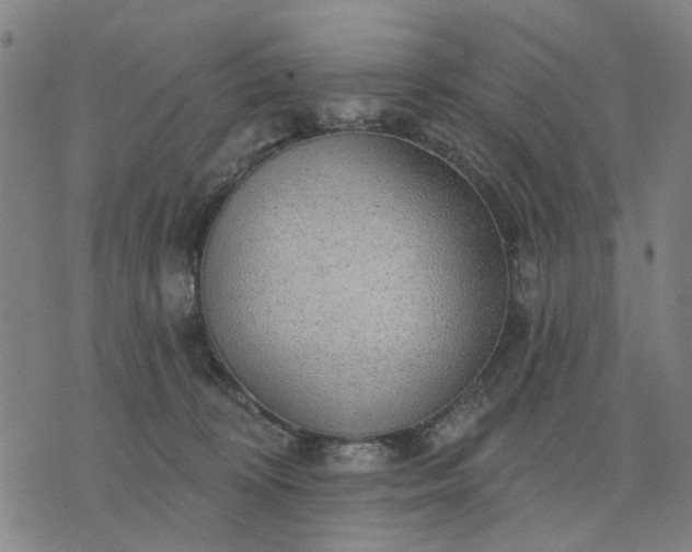 X0000076080324200610061622