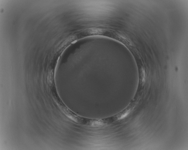 X0000076080325200610061622