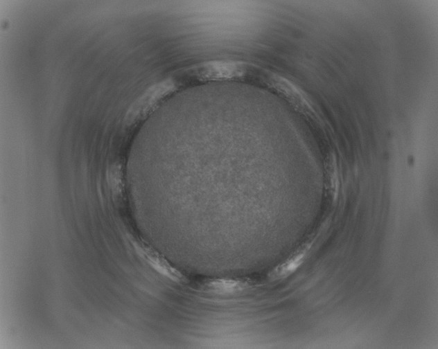 X0000076080326200610061622