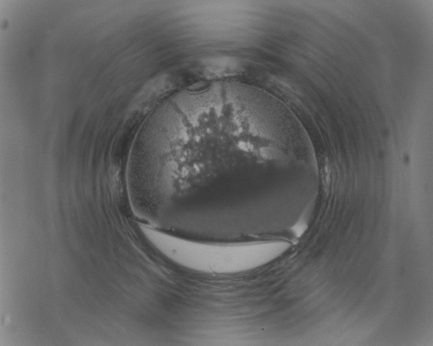 X0000076080327200610061622