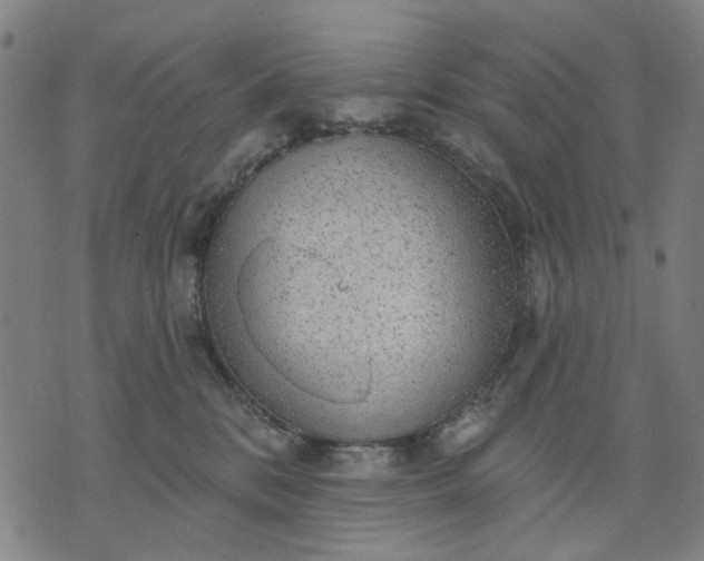 X0000076080328200610061622