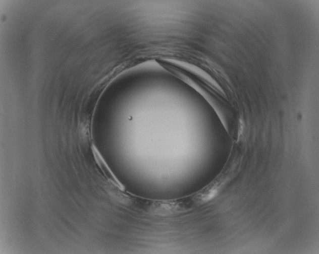 X0000076080329200610061622