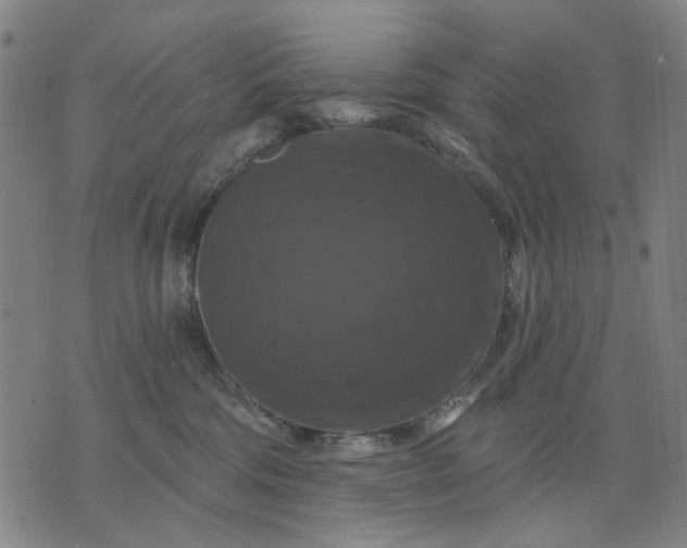 X0000076080330200610061622