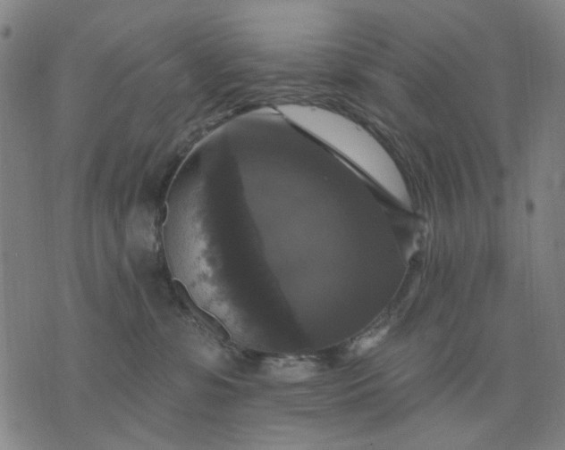 X0000076080331200610061622