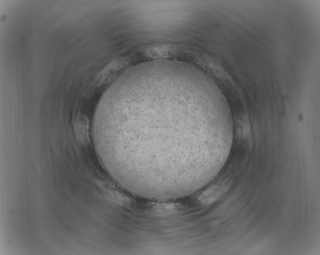 X0000076080332200610061622