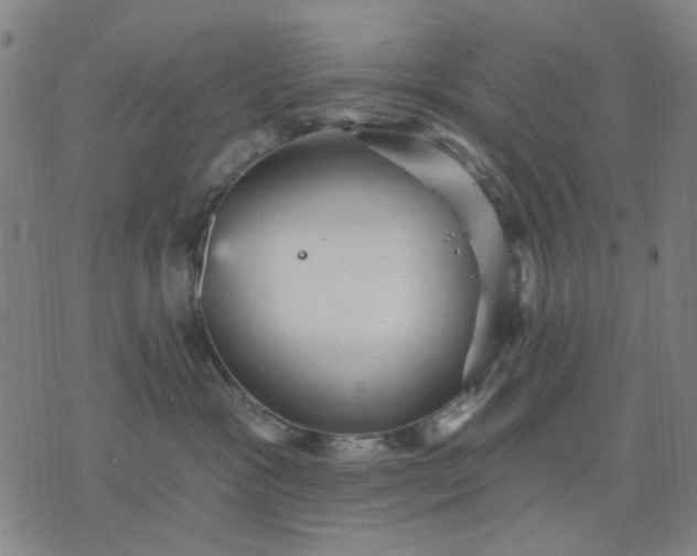 X0000076080333200610061622