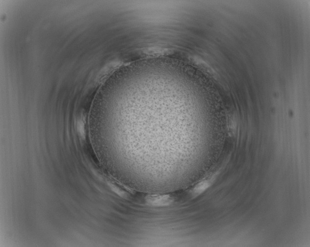 X0000076080334200610061622