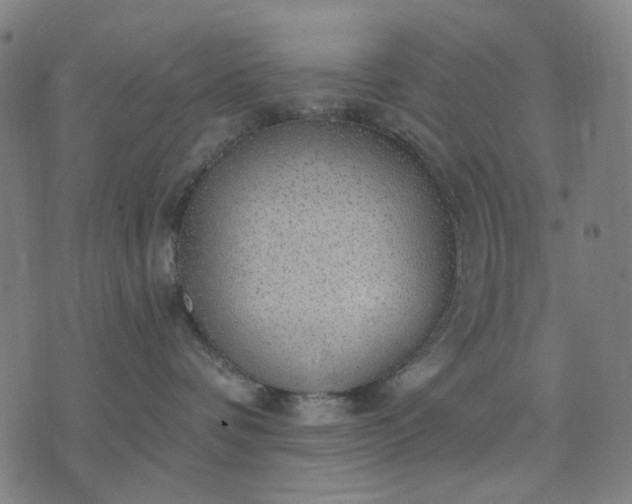 X0000076080336200610061622