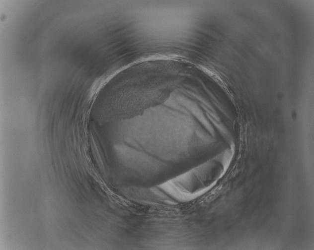 X0000076080337200610061621