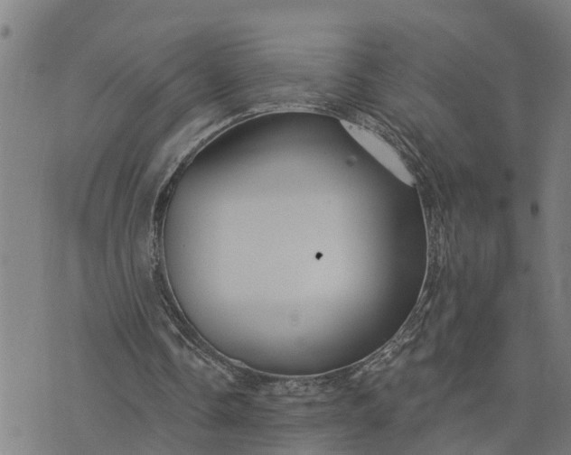 X0000076080338200610061621