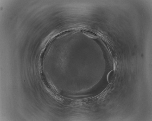 X0000076080339200610061621