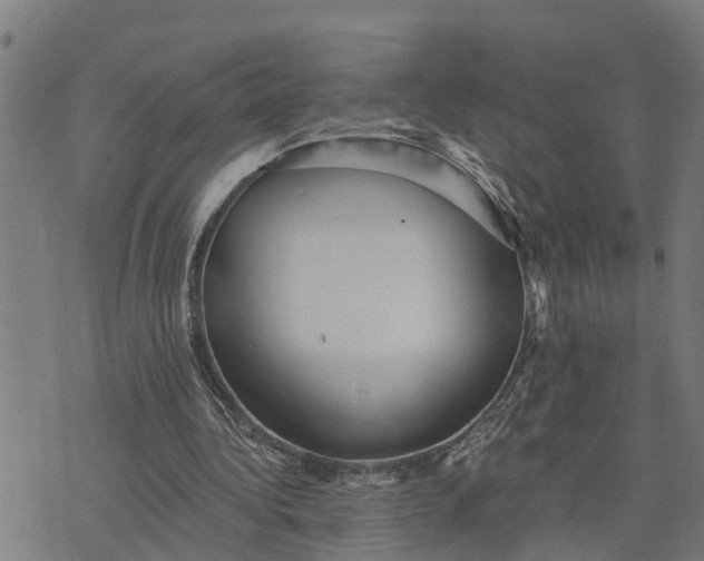 X0000076080340200610061621