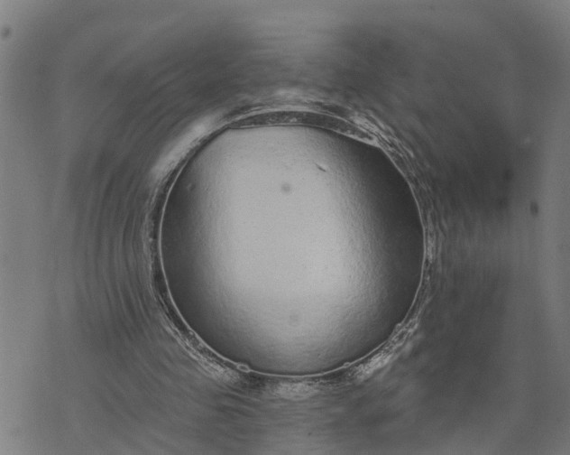 X0000076080341200610061621