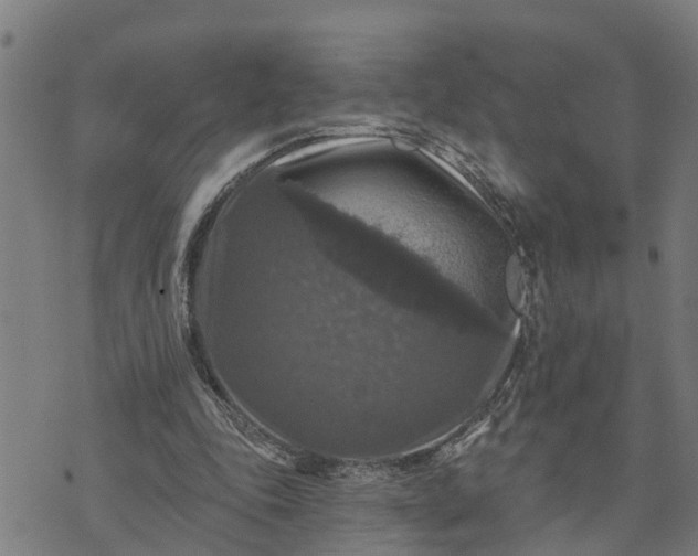 X0000076080343200610061621