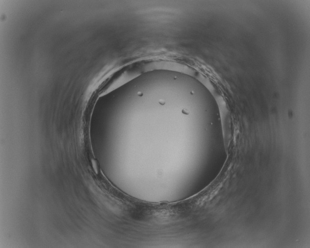 X0000076080344200610061621