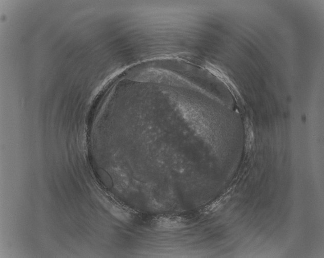 X0000076080346200610061621