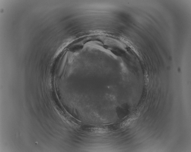 X0000076080347200610061621