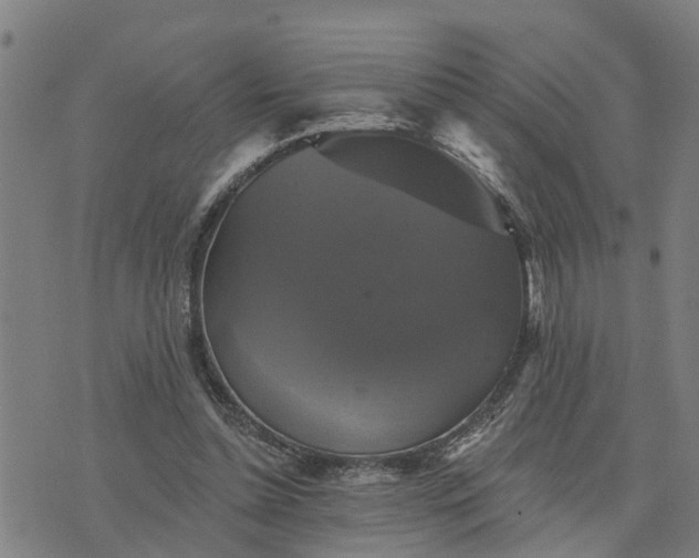 X0000076080348200610061621