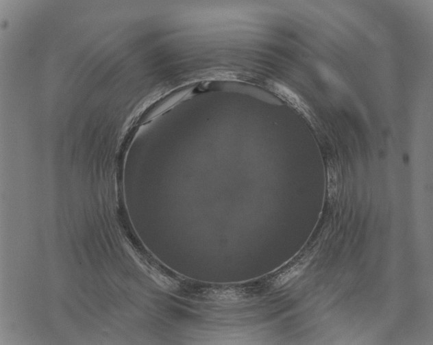 X0000076080349200610061621