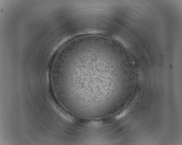 X0000076080350200610061621