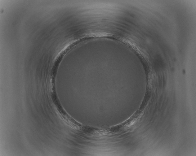 X0000076080351200610061622