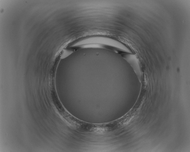 X0000076080352200610061622