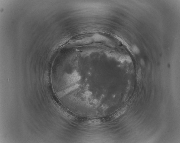 X0000076080353200610061622