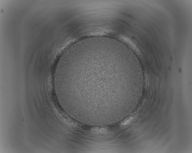 X0000076080354200610061622