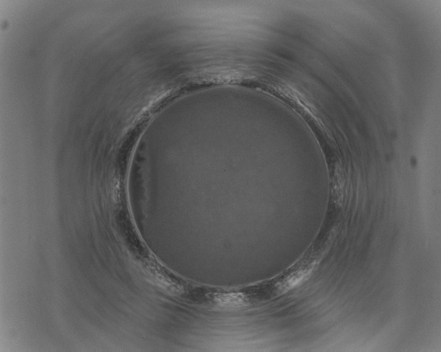 X0000076080355200610061622