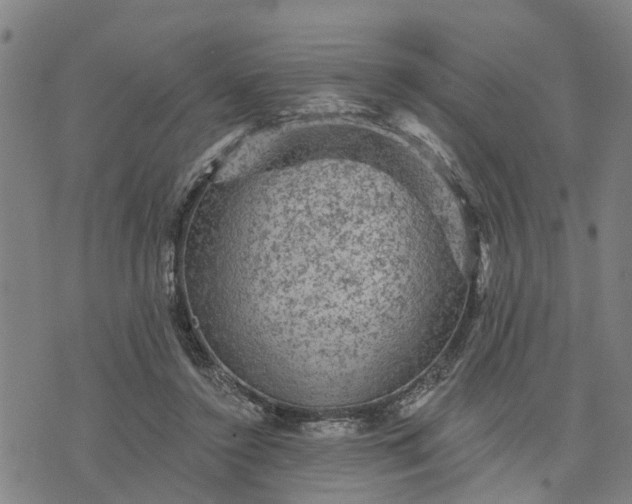 X0000076080356200610061622