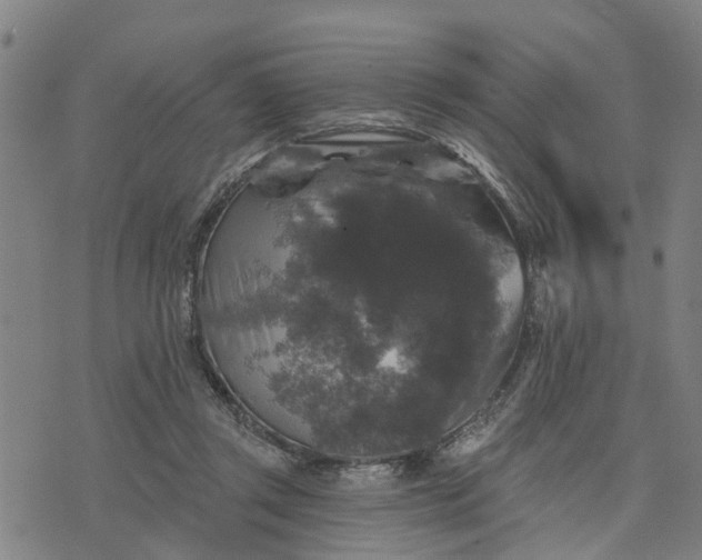 X0000076080357200610061622