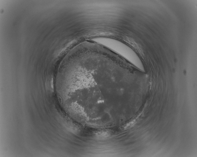 X0000076080358200610061622