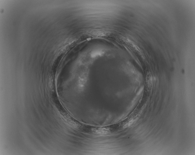 X0000076080359200610061622