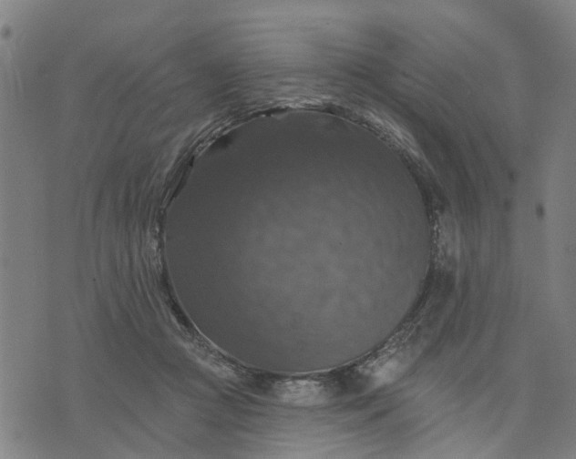 X0000076080361200610061622