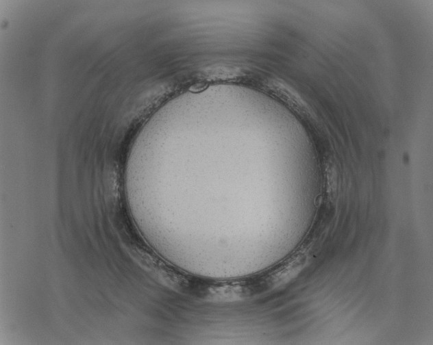 X0000076080362200610061622