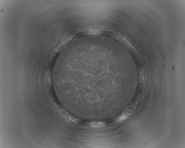 X0000076080363200610061622