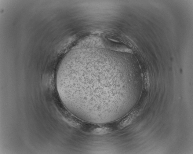 X0000076080364200610061622