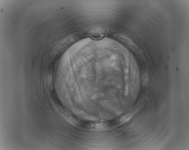 X0000076080365200610061622