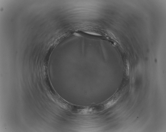 X0000076080366200610061622